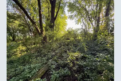 22438 State Highway 30, Hayfield, MN 55940 - Photo 79