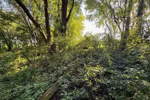 22438 State Hwy 30, Hayfield, MN 55940 - Photo 79