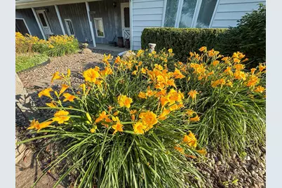 22438 State Highway 30, Hayfield, MN 55940 - Photo 61