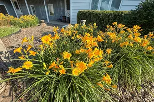 22438 State Hwy 30, Hayfield, MN 55940 - Photo 61