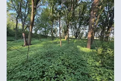 22438 State Highway 30, Hayfield, MN 55940 - Photo 83