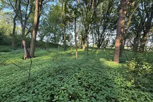 22438 State Hwy 30, Hayfield, MN 55940 - Photo 83