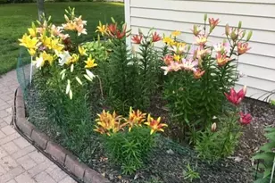 11216 Harrison Ave S, Bloomington, MN 55437 - Photo 33