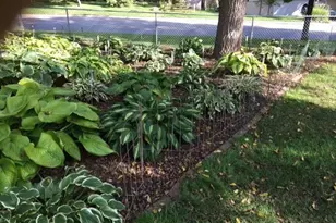 11216 Harrison Ave S, Bloomington, MN 55437 - Photo 31