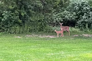 17553 Ionia Path, Lakeville, MN 55044 - Photo 17