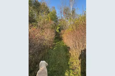 11832 County Road 51, Saint Joseph, MN 56374 - Photo 127