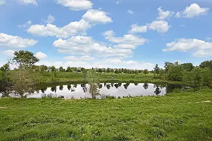 10766 Hawthorn Trail, Woodbury, MN 55129 - Photo 81