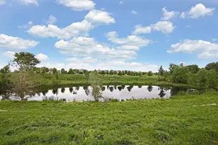 10766 Hawthorn Trail, Woodbury, MN 55129 - Photo 29