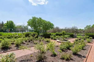 10766 Hawthorn Trail, Woodbury, MN 55129 - Photo 71