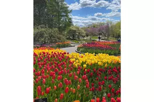 887 Laurel Ct, Chaska, MN 55318 - Photo 61