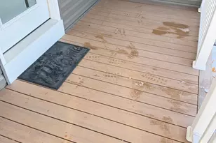 1017 Benson Rd, Montevideo, MN 56265 - Photo 33