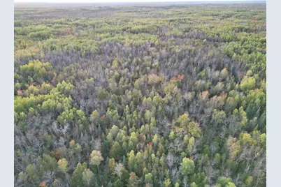 Tbd Us-71, Big Falls, MN 56627 - Photo 19