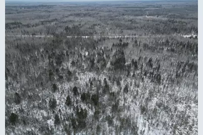 Tbd Us-71, Big Falls, MN 56627 - Photo 9