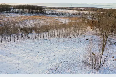 Tbdx 130th Street, Detroit Lakes, MN 56501 - Photo 19