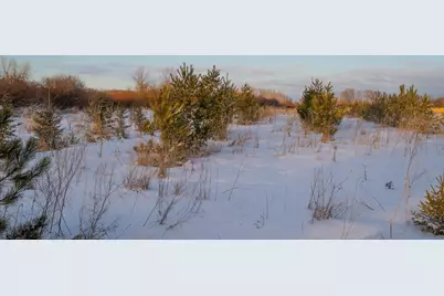 Tbdx 130th Street, Detroit Lakes, MN 56501 - Photo 29