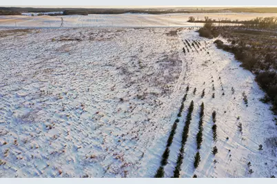 Tbdx 130th Street, Detroit Lakes, MN 56501 - Photo 15