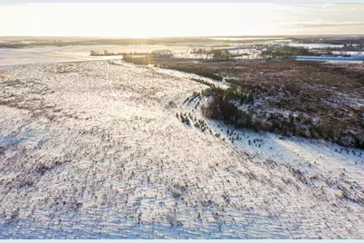 Tbdx 130th Street, Detroit Lakes, MN 56501 - Photo 9