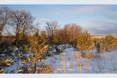 Tbdx 130th Street, Detroit Lakes, MN 56501 - Photo 41