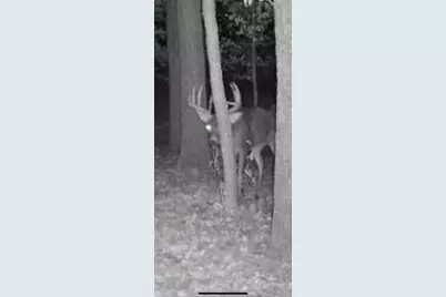 Tbdx 130th Street, Detroit Lakes, MN 56501 - Photo 95