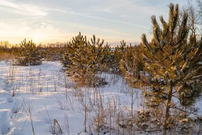 Tbdx 130th Street, Detroit Lakes, MN 56501 - Photo 43