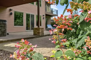 1475 162nd Ave NW, Andover, MN 55304 - Photo 57