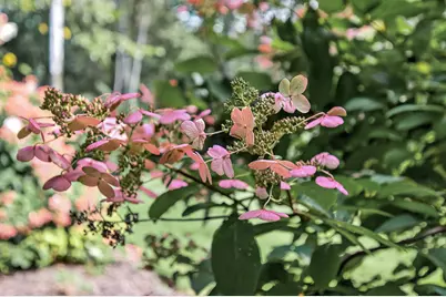 1475 162nd Avenue NW, Andover, MN 55304 - Photo 59