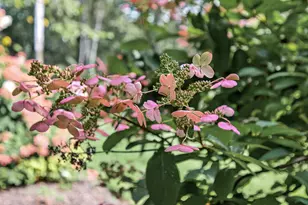 1475 162nd Ave NW, Andover, MN 55304 - Photo 59