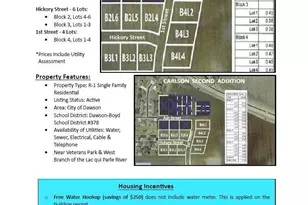 1045 1st St, Dawson, MN 56232 - Photo 1