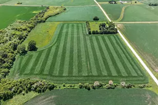 Tbd 270th Ave SW, Hayfield, MN 55940 - Photo 1