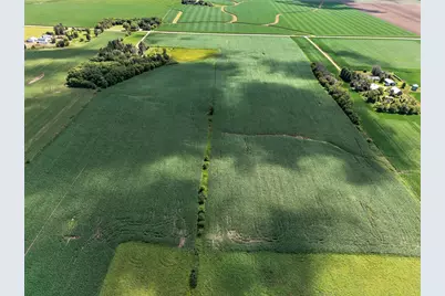 Tbd County Road 149, Hayfield, MN 55940 - Photo 5