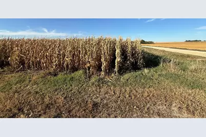 Tbd County Road 149, Hayfield, MN 55940 - Photo 31