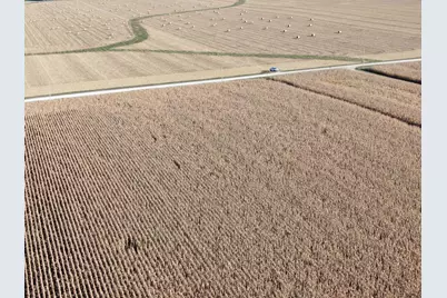 Tbd County Road 149, Hayfield, MN 55940 - Photo 29