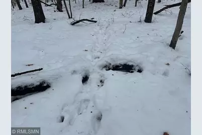 Xxx County Rd B, Siren, WI 54872 - Photo 57