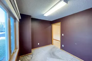 411 Vernon Ave, Morgan, MN 56266 - Photo 29