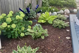 15820 17th Ave N, Plymouth, MN 55447 - Photo 19