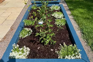 5421 Park Ave, Minneapolis, MN 55417 - Photo 71