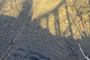 10007 Alcott Dr, Sauk Centre Township, MN 56378 - Photo 3