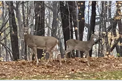 21066 Malibu Avenue, Prior Lake, MN 55372 - Photo 81