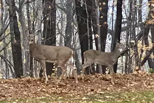 21066 Malibu Ave, Prior Lake, MN 55372 - Photo 81