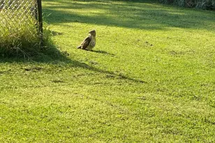 21066 Malibu Ave, Prior Lake, MN 55372 - Photo 79