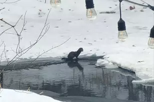 11709 Welters Way, Eden Prairie, MN 55347 - Photo 67