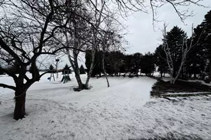 204 S Schendel St, Blomkest, MN 56216 - Photo 3