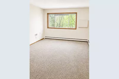 6717 Old Sawmill Road #101, Harris, MN 55032 - Photo 1