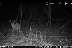 7405 Knollwood Dr, Mounds View, MN 55112 - Photo 45