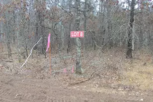 Lot 8 Canute Creek Trail, Grantsburg, WI 54840 - Photo 1