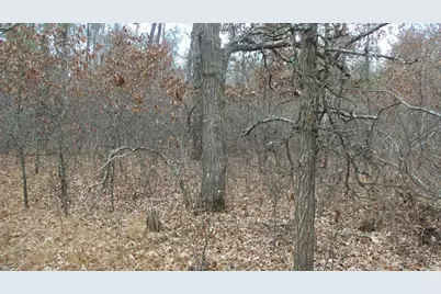 Lot 8 Canute Creek Trl, Grantsburg, WI 54840 - Photo 5