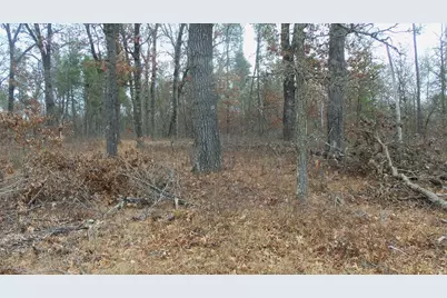 Lot 8 Canute Creek Trl, Grantsburg, WI 54840 - Photo 13