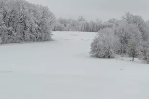 27196 Co Hwy 21, Detroit Lakes, MN 56501 - Photo 3