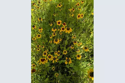 27196 Co Hwy 21, Detroit Lakes, MN 56501 - Photo 71