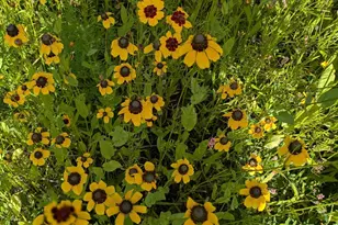 27196 Co Hwy 21, Detroit Lakes, MN 56501 - Photo 71